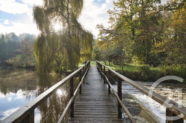 Afficher la photo en grand maison à vendre - 8 pièces - 267.0 m2 - VIEUX VY SUR COUESNON - 35 - BRETAGNE - Century 21 Gambetta