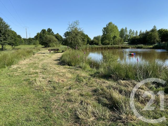 terrain à vendre - 20000.0 m2 - LA BAZOUGE DU DESERT - 35 - BRETAGNE - Century 21 Gambetta
