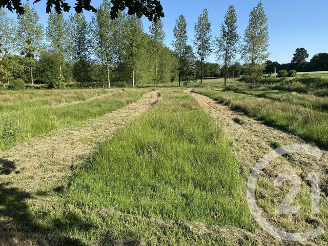 terrain à vendre - 20000.0 m2 - LA BAZOUGE DU DESERT - 35 - BRETAGNE - Century 21 Gambetta