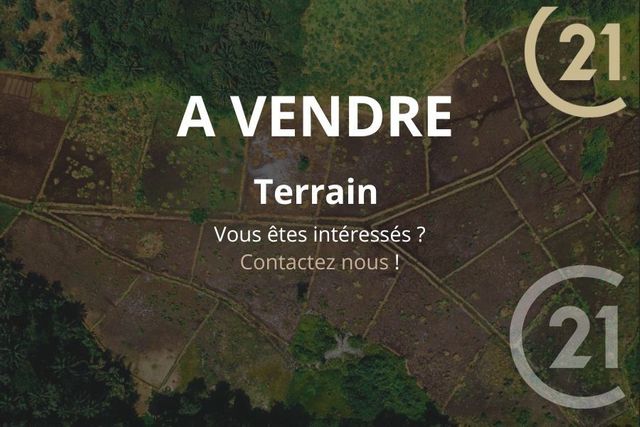 terrain - ST GERMAIN EN COGLES - 35