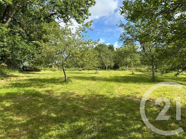 terrain à vendre - 3550.0 m2 - MAEN ROCH - 35 - BRETAGNE - Century 21 Gambetta