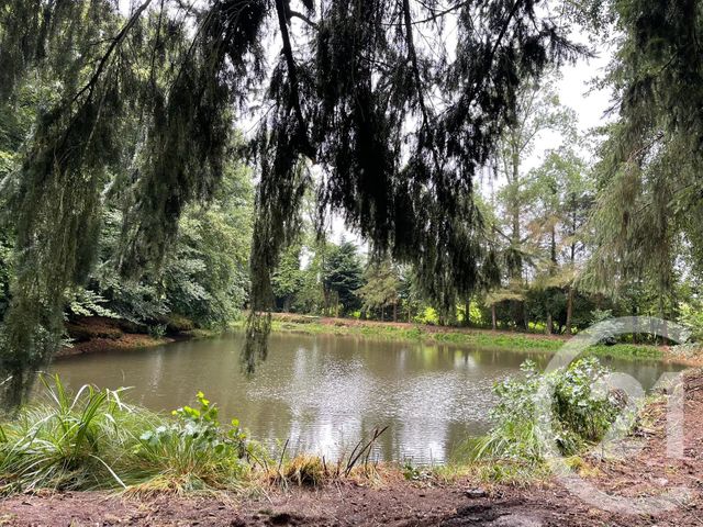 terrain à vendre - 4711.0 m2 - LA CHAPELLE JANSON - 35 - BRETAGNE - Century 21 Gambetta